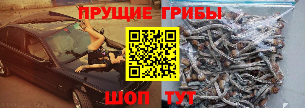 Сертолово  Галлюциногенные грибы мухоморы  Галлюциногенные грибы ЛСД  Вход с VPN 